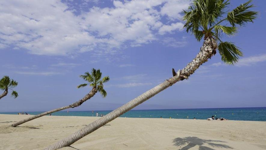 Maison Plein Pied Proximite Plage Et Commerce - 5Sir33 Villa Le Barcares Bagian luar foto