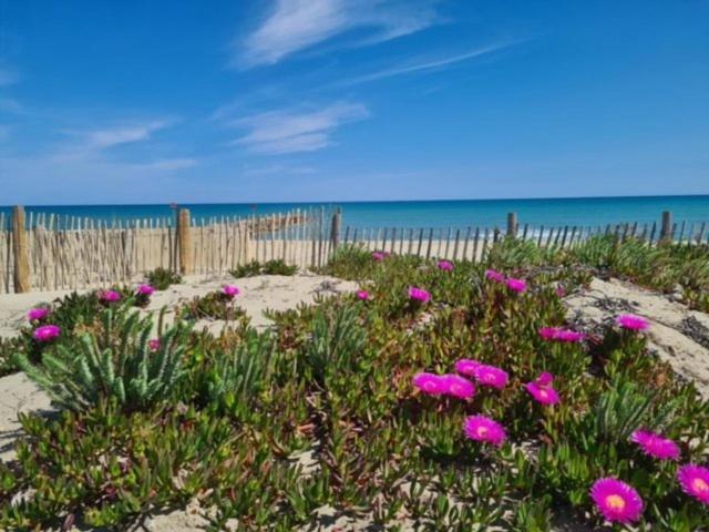Maison Plein Pied Proximite Plage Et Commerce - 5Sir33 Villa Le Barcares Bagian luar foto